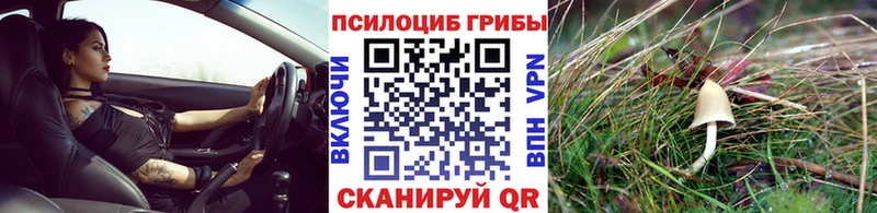 Купить закладки  Нововоронеж  Псилоцибиновые грибы прущие грибы 